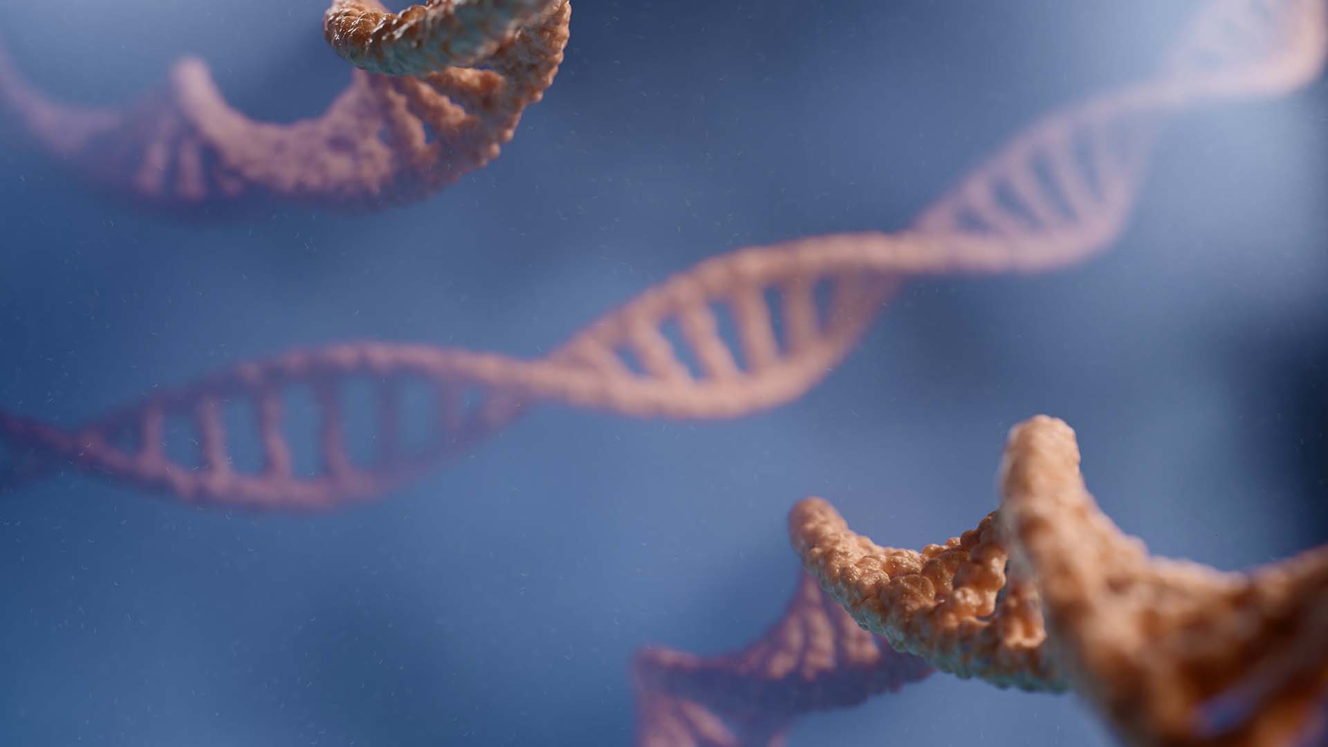 DNA Testing in Parenting and Family Planning