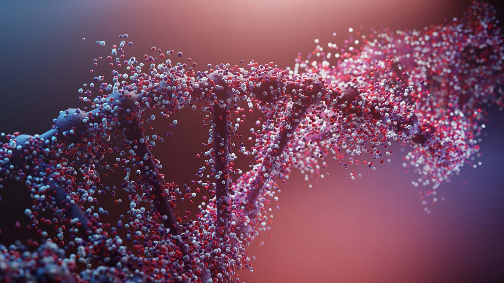 Discovering Your Roots: The Rise of Ancestry DNA Testing